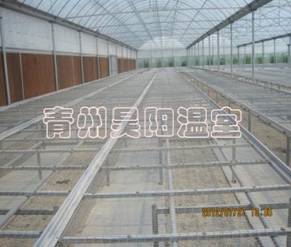 溫室移動苗床