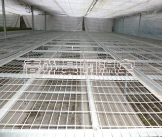 溫室移動(dòng)苗床