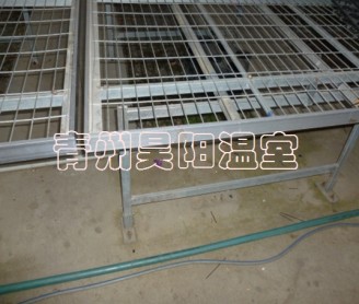 溫室移動苗床