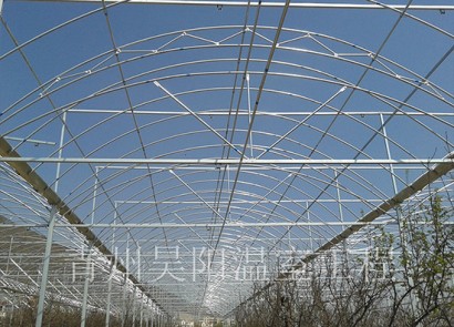 Shijiazhuang Luquan Double-arch and Double-film Greenhouse