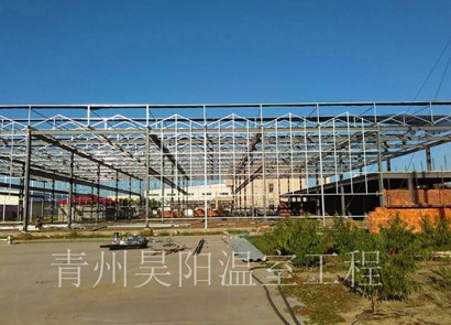 Tianjin glass greenhouse