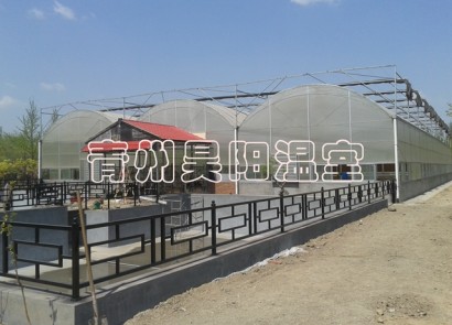 Zibo greenhouse in construction