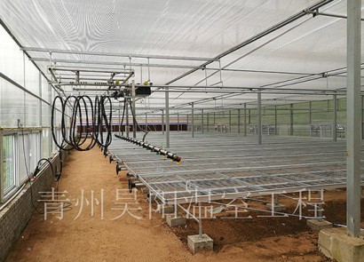Henan Baofeng Yufengyuan Agricultural Seedling Greenhouse