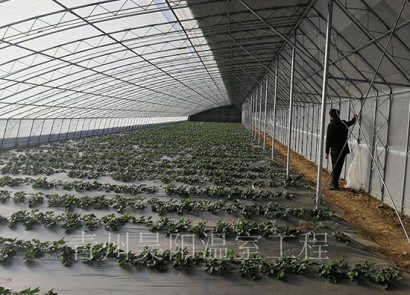 Zibo Linyi Strawberry Picking Base