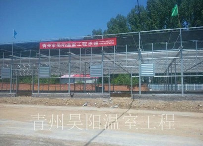 Henan Luanchuan Lanhua Village Flower Market