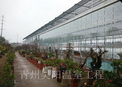 Yantai glass greenhouse