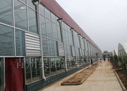 Shanxi Changzhi Xinyue Agricultural Seedling Greenhouse