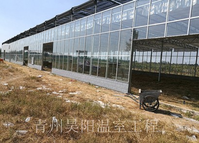 Zhengzhou Zhongmou Huangdian Town Glass Greenhouse