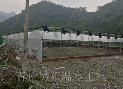 Shaanxi Lueyang Cymbidium Aquaculture Greenhouse