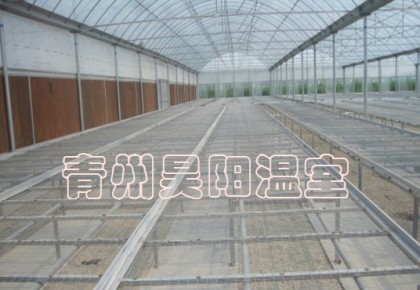 Greenhouse mobile seedbed