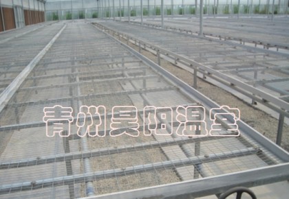Greenhouse mobile seedbed