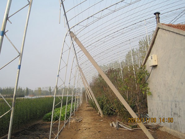 果樹大棚