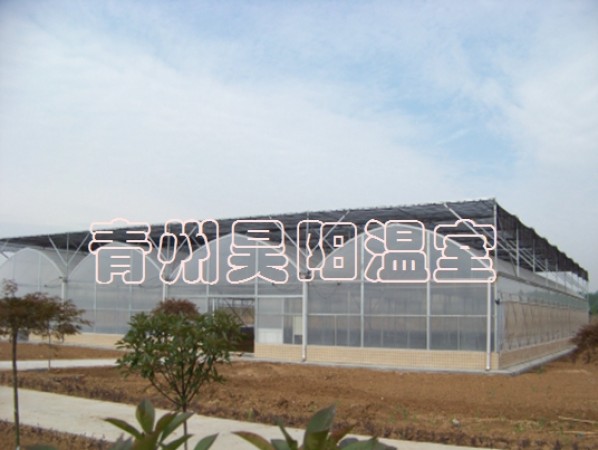 智能連棟膜溫室