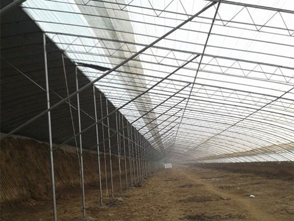 Vegetable greenhouse construction