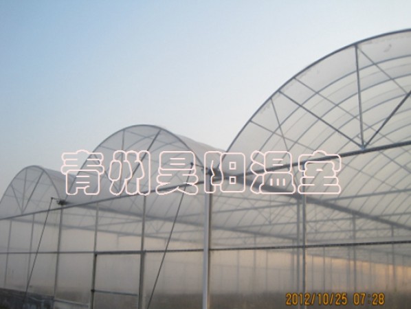 智能連棟膜溫室