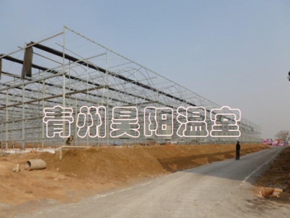 Intelligent multi-span greenhouse