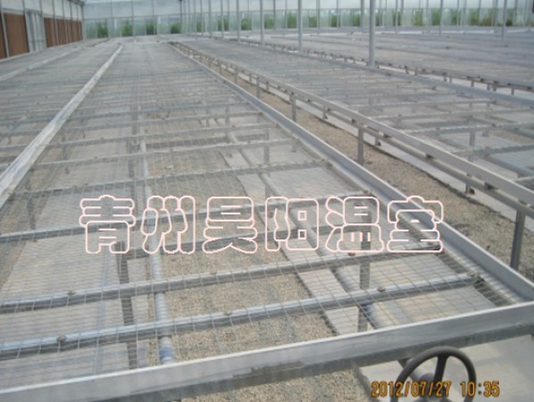 Greenhouse mobile seedbed