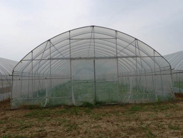 Single greenhouse